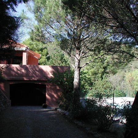 Chambres D'Hote L'Amandiere A Cucugnan Εξωτερικό φωτογραφία